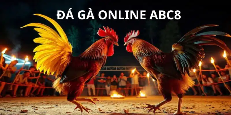 Soi kèo đá gà online là sự lựa chọn của hội viên nhà cái ABC8