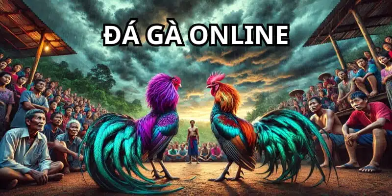 Đá Gà Online ABC8 - Thiên Đường Soi Kèo Kê Chiến Số 1