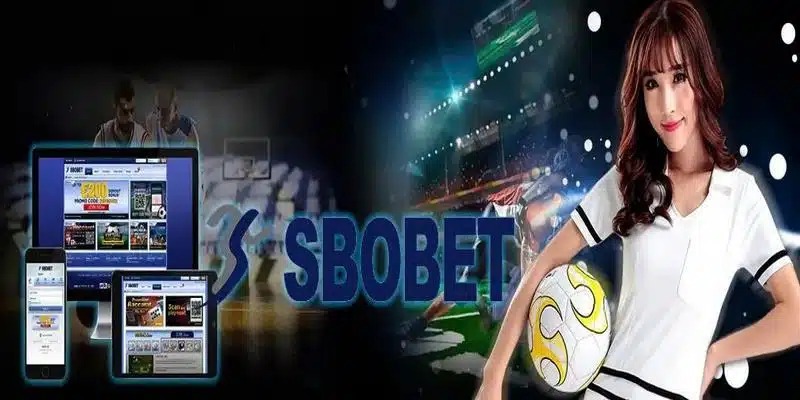 Hướng dẫn chi tiết cách cược Sbobet thể thao cho tân binh