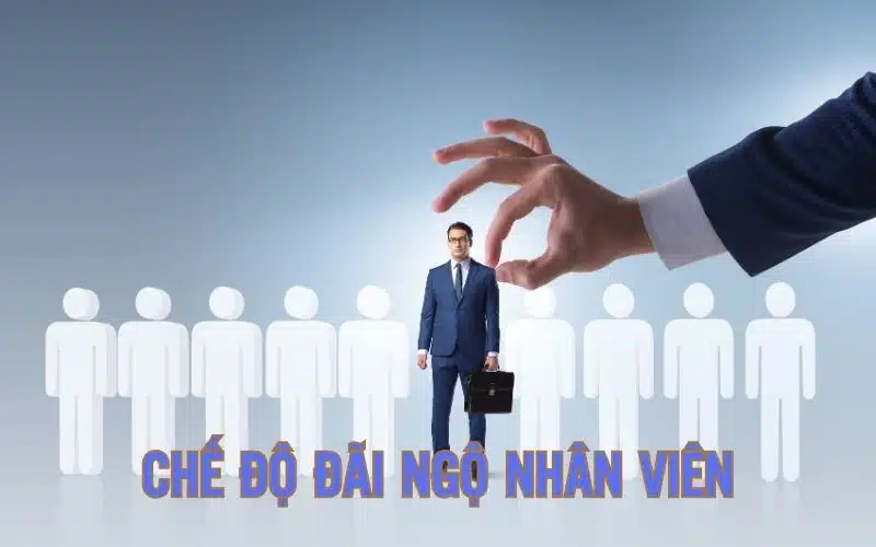 Phúc lợi tuyệt vời dành cho nhân viên làm việc tại nhà cái ABC8